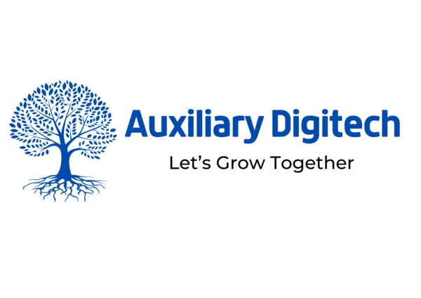 Auxiliary Digitech