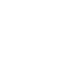 icons8-web-shield-96